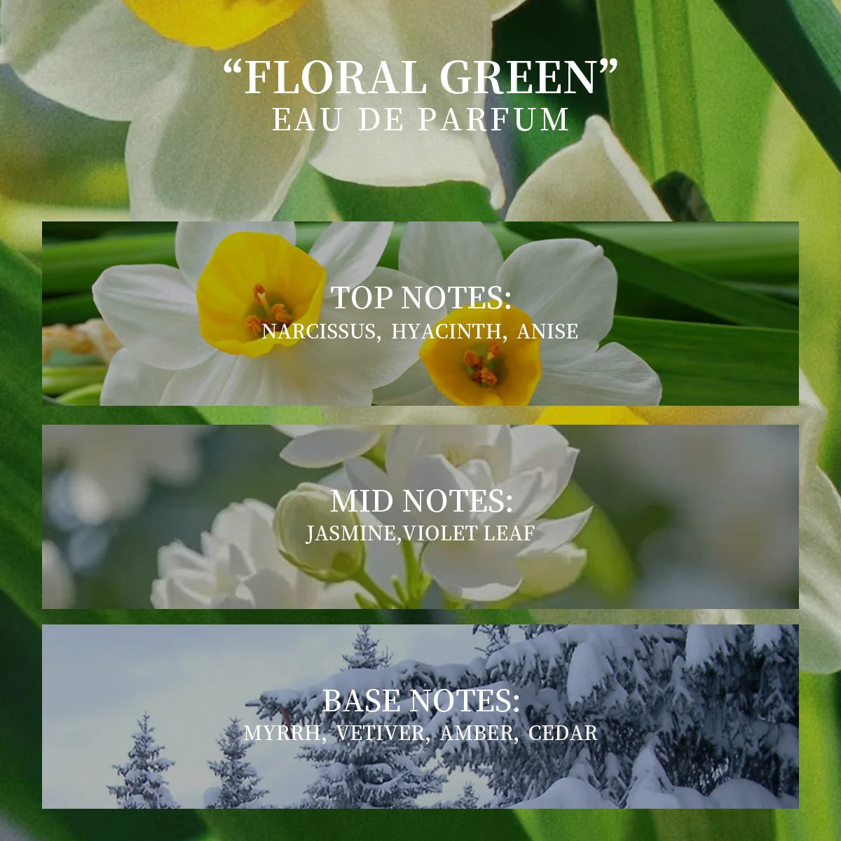 10ml Premium Women's Perfume! Green Floral Fragrance, with top notes of daffodil, heart notes of violet, and base notes of cedar