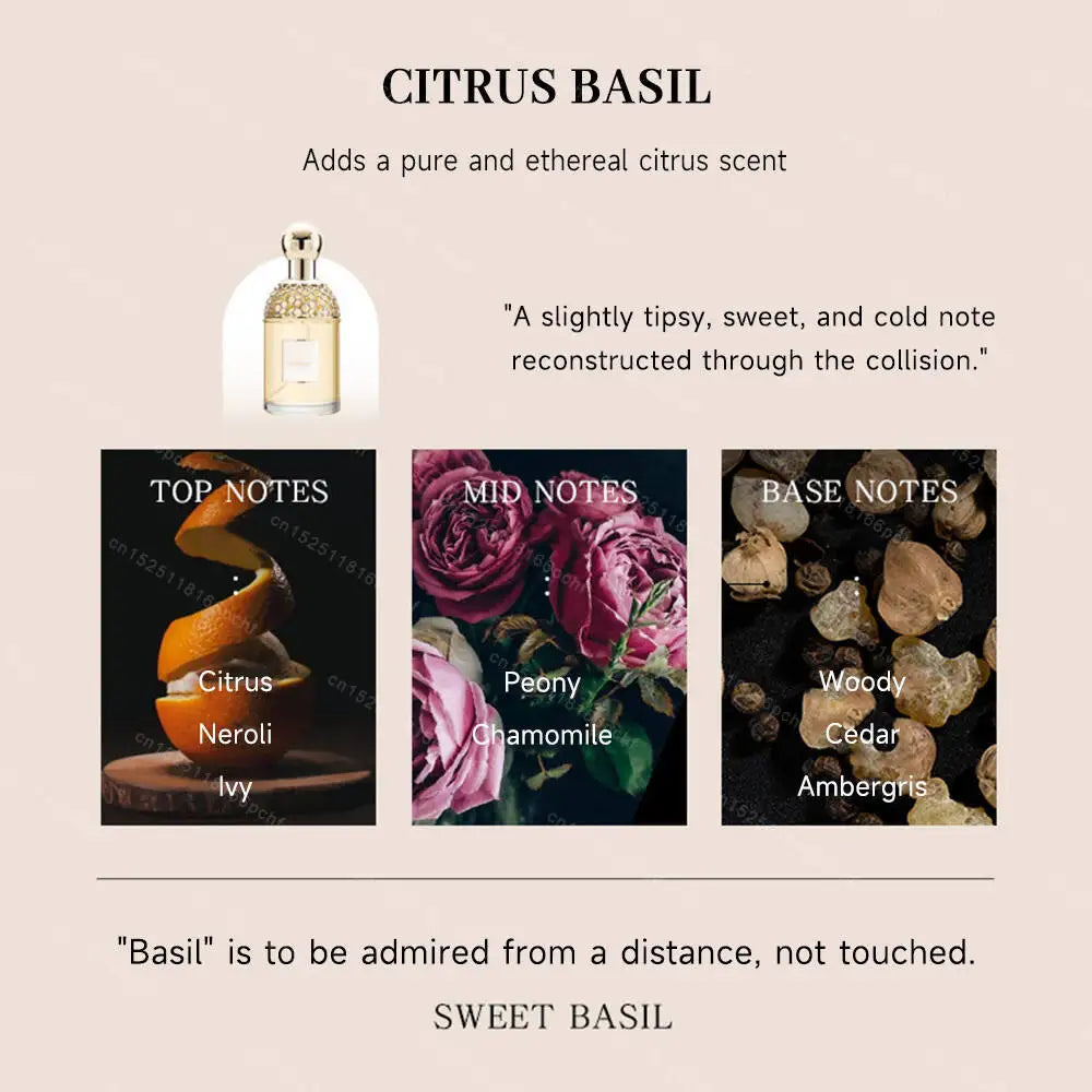 Luxury Brand Perfume Lasting Floral Scent Spray Perfumes De Mujer Pheromone Fresh Natural Parfum Femme for Date 100Ml