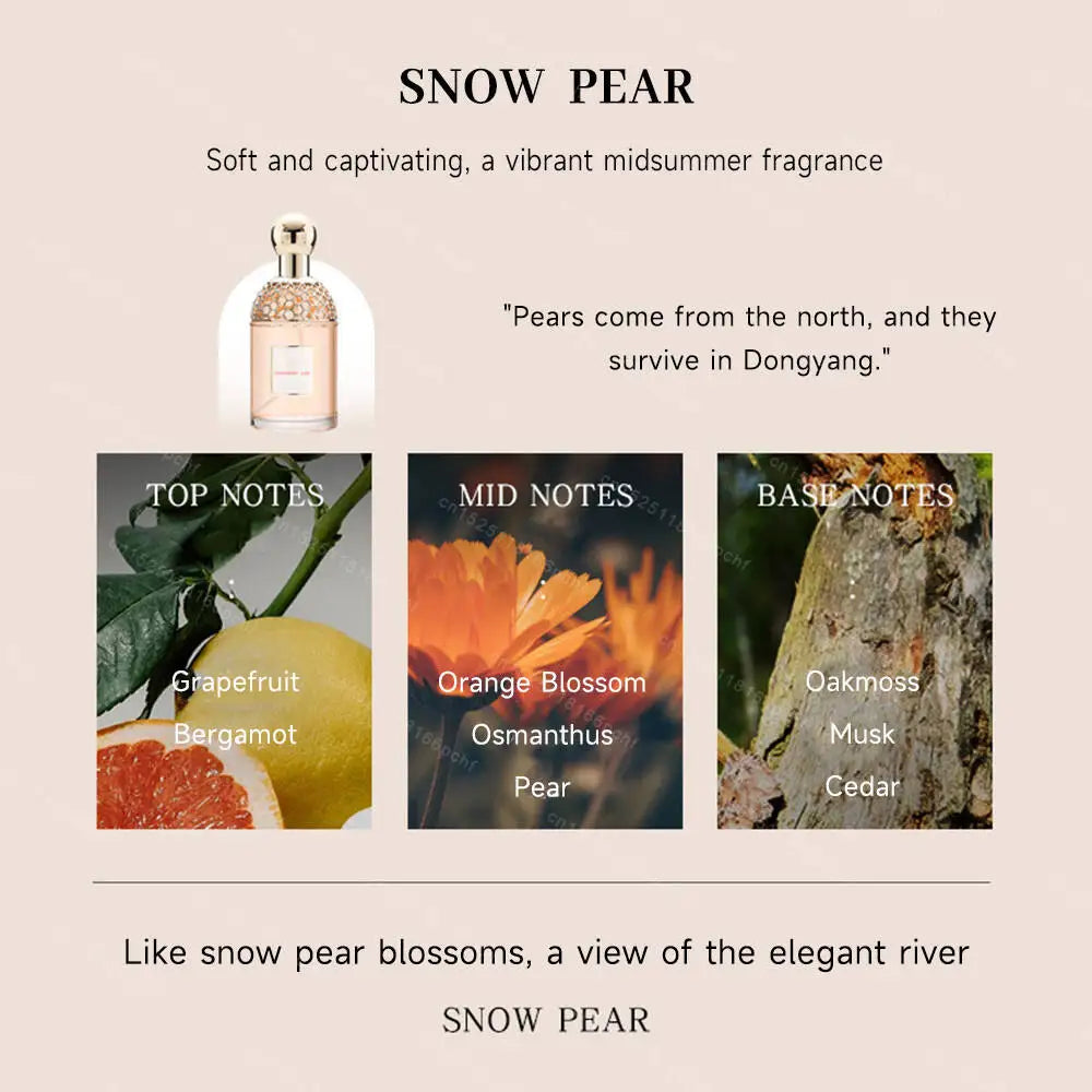 Luxury Brand Perfume Lasting Floral Scent Spray Perfumes De Mujer Pheromone Fresh Natural Parfum Femme for Date 100Ml