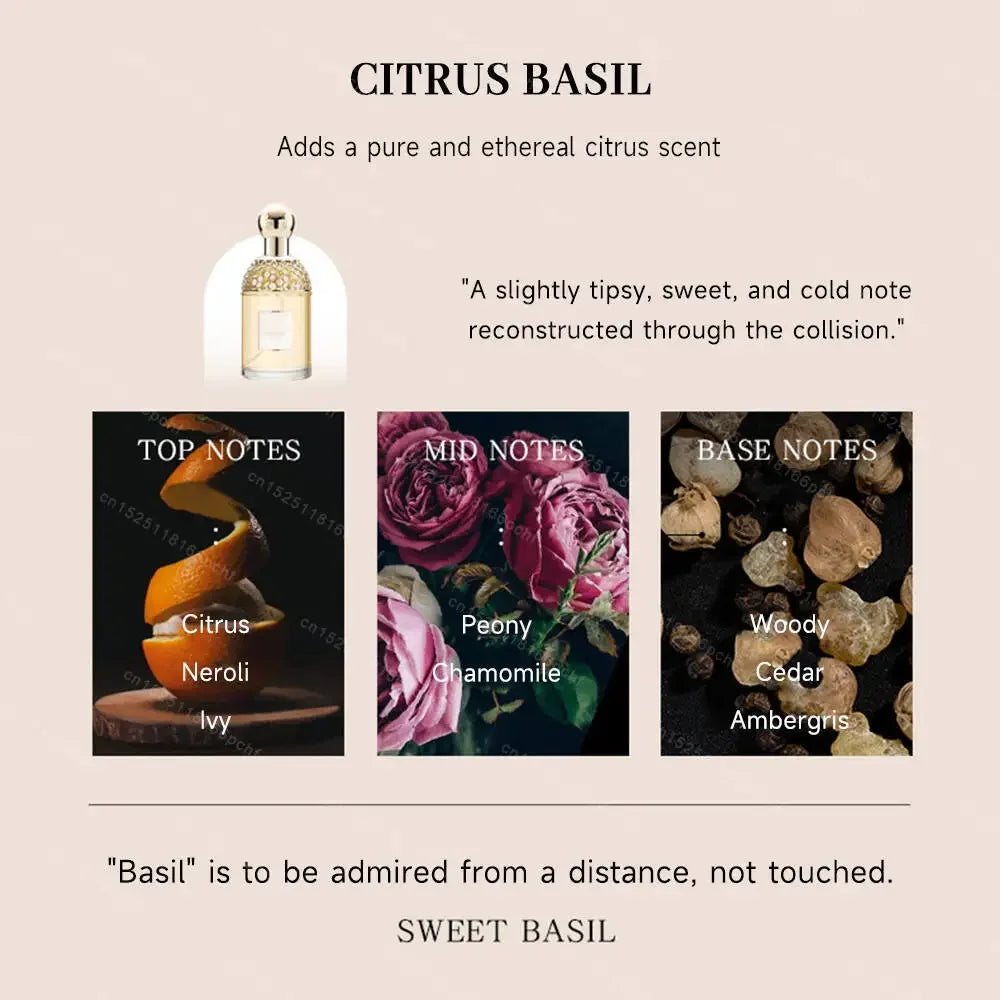 Luxury Brand Perfume Lasting Floral Scent Spray Perfumes De Mujer Pheromone Fresh Natural Parfum Femme for Date 100Ml