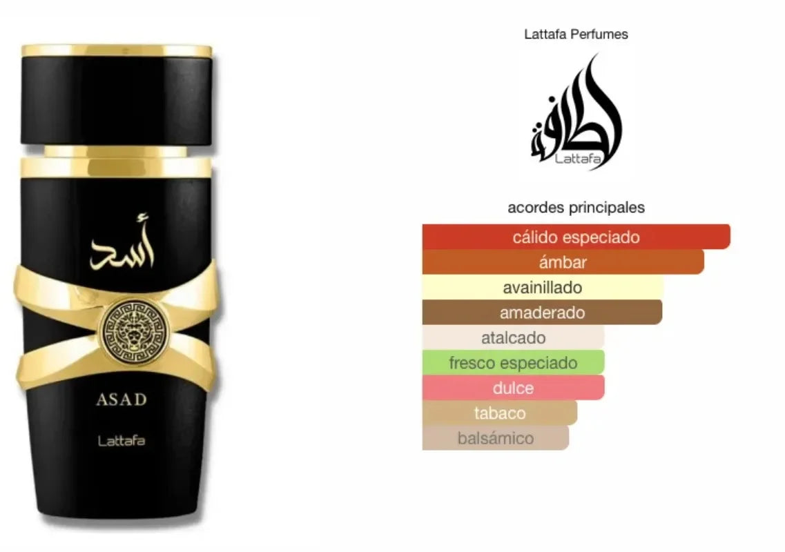 100ml High-Quality Arabic Dubai Perfume Woody Scent Long-Lasting Fragrance Spray Suitable for Men and Women