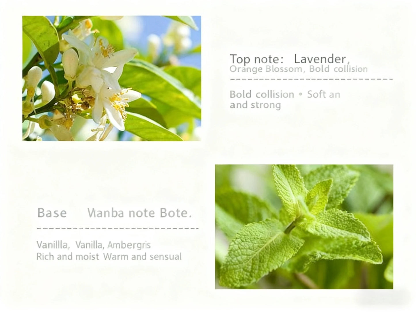 High-end floral fragrance perfume 50ml long-lasting body spray fresh and elegant suitable for women